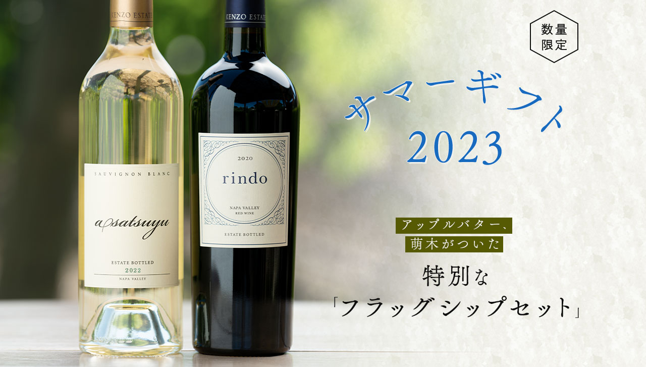 サマーギフト 2023 夏の贈り物に喜ばれる スパークリング×赤ワイン
