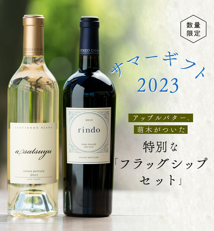サマーギフト 2023 夏の贈り物に喜ばれる スパークリング×赤ワイン