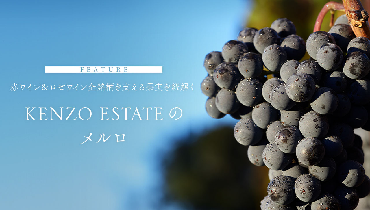 FEATURE　限りなくピュアに育まれた果実　KENZO ESTATEのメルロ